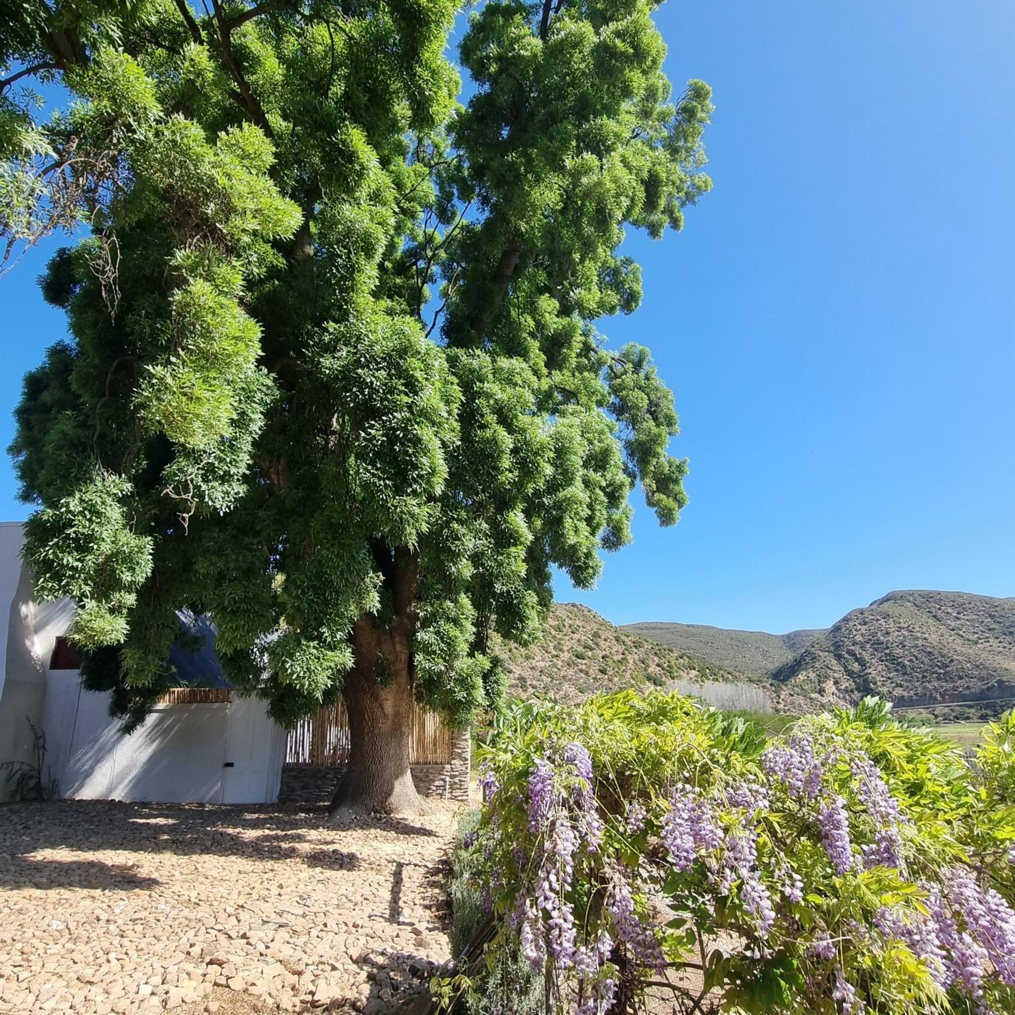 De Kombuys Oudtshoorn Exterior photo